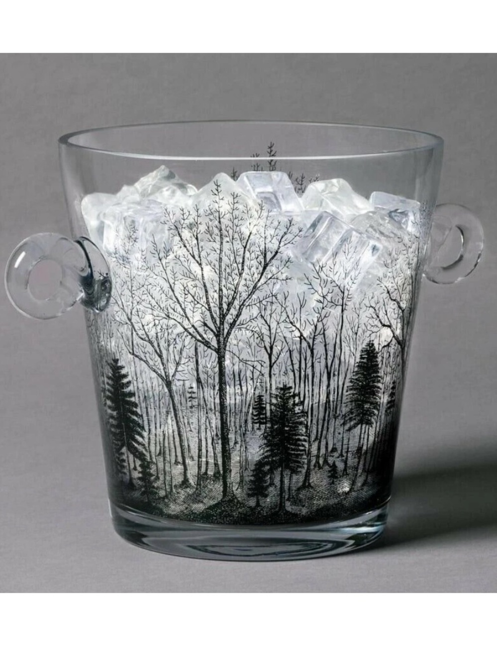 JOHN DERIAN NWT cold as ice clear ice bucket